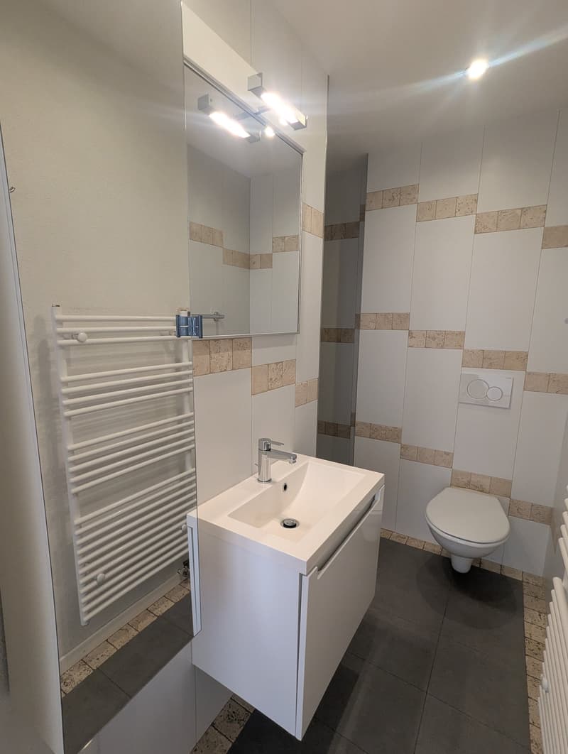 2.5-Zimmer-Wohnung in ruhiger Lage in Grünen (7)