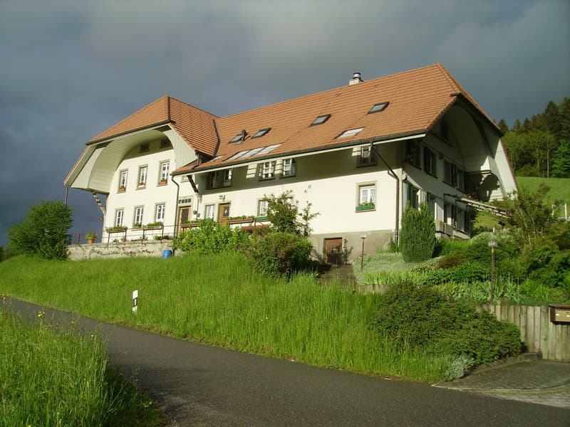 Charmante 3.5-Zimmer-Wohnung im historischen Haus in Schafhausen i.E. (2)