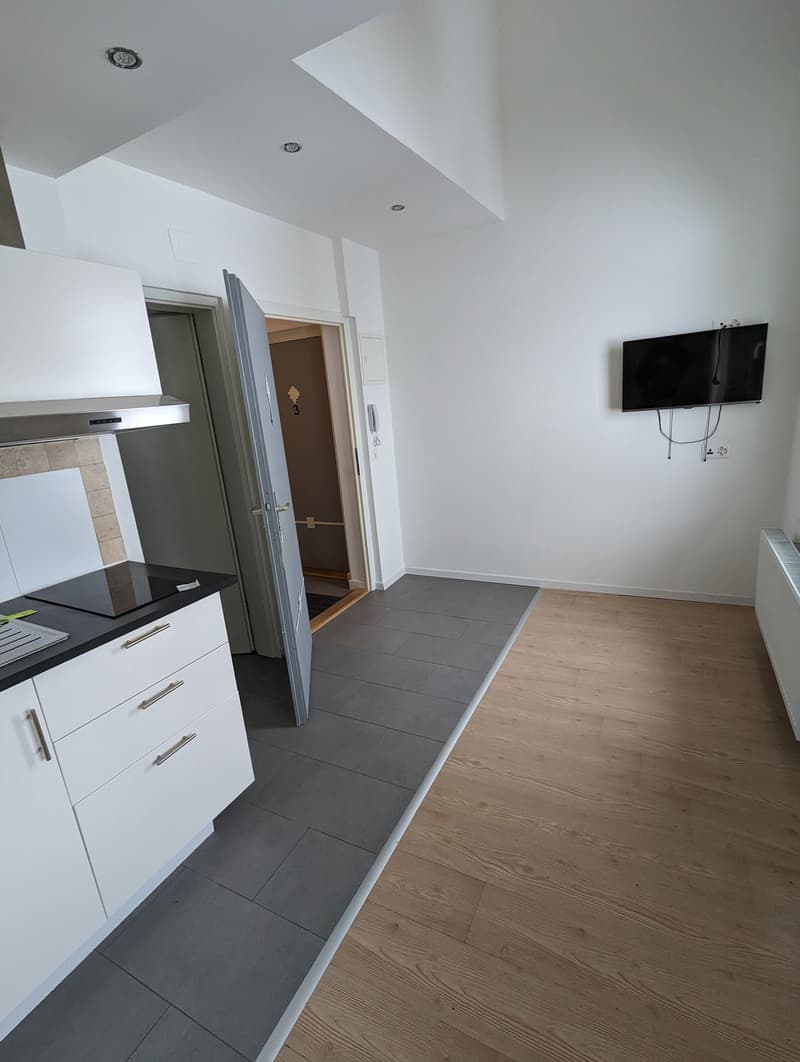 Gemütliches 1-Zimmer-Studio in ruhiger Lage in Grünen (3)
