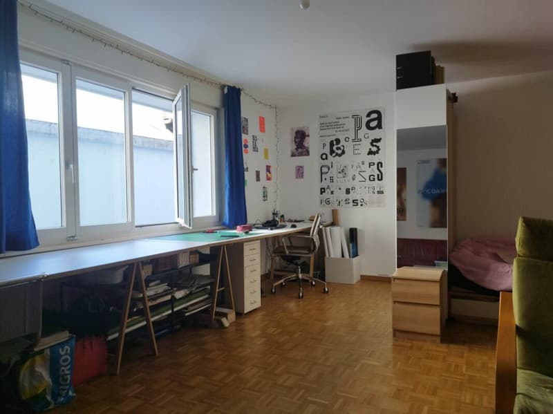 Appartement 1.5 pce (3)
