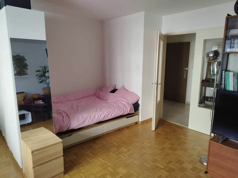 Appartement 1.5 pce (4)