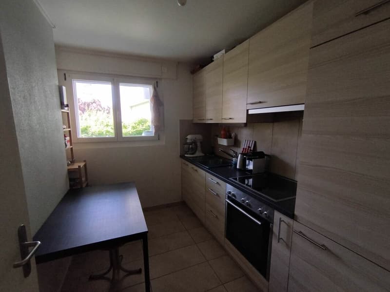 Appartement 1.5 pce (5)