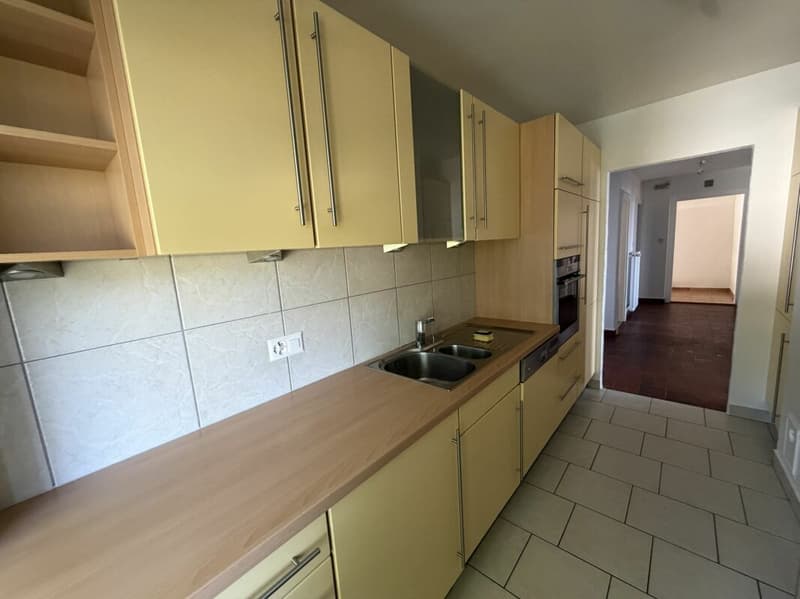 Magnifique appartement (3)