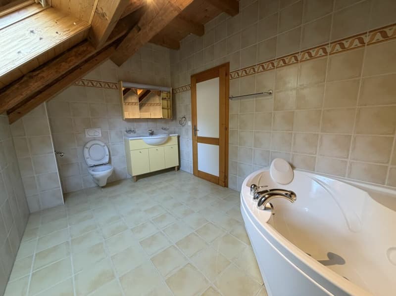 Magnifique appartement (10)