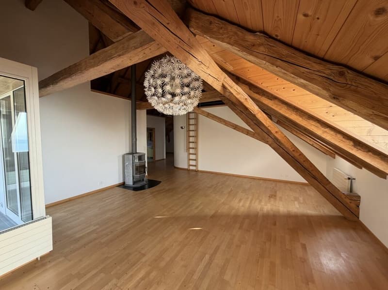 Magnifique appartement (14)