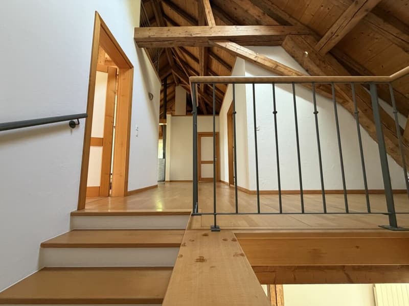 Magnifique appartement (7)