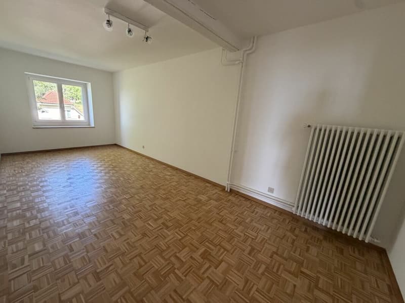 Magnifique appartement (5)
