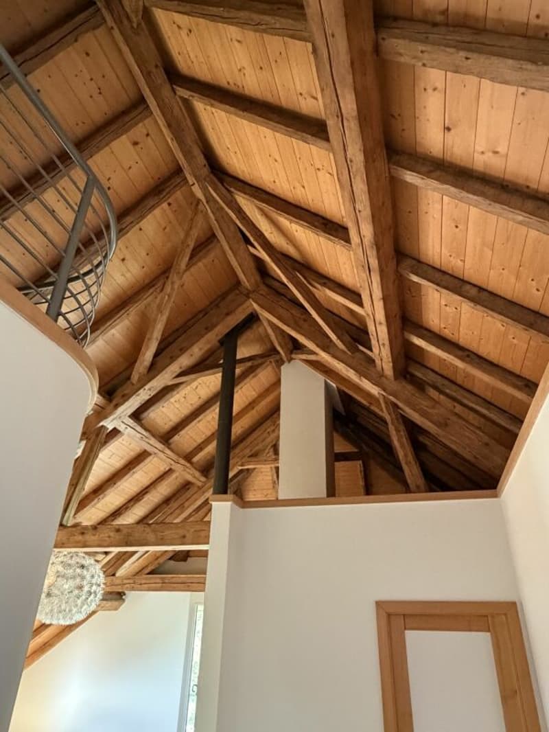 Magnifique appartement (11)