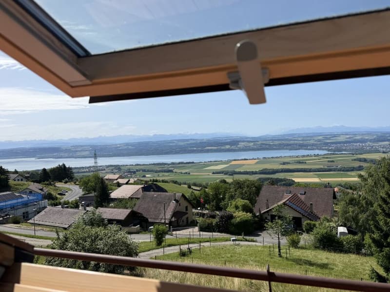 Magnifique appartement (17)