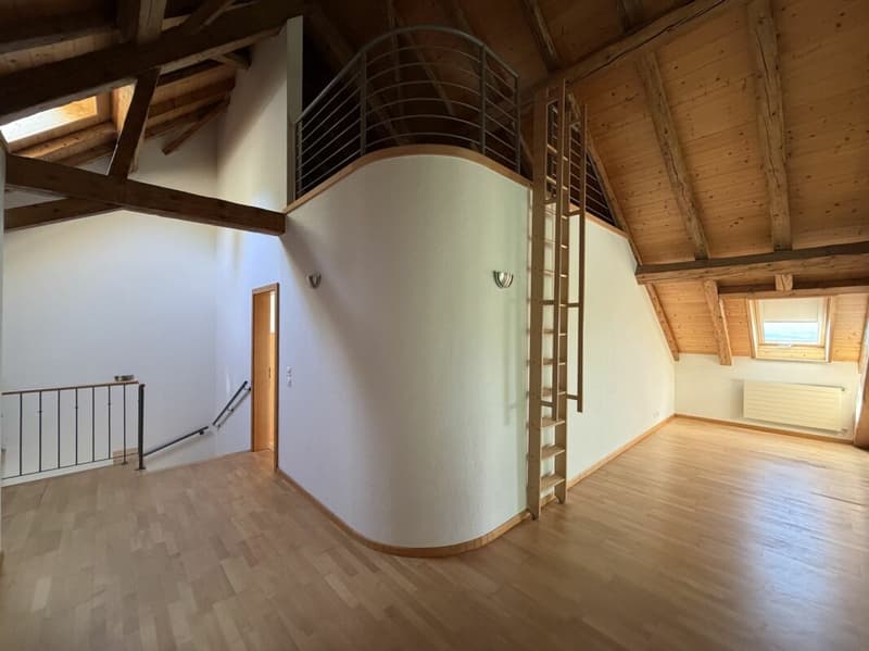 Magnifique appartement (12)