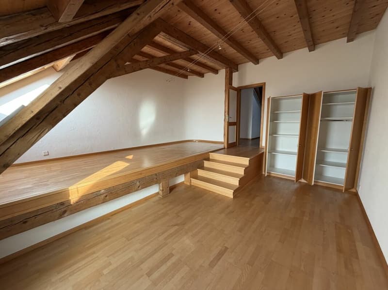 Magnifique appartement (8)