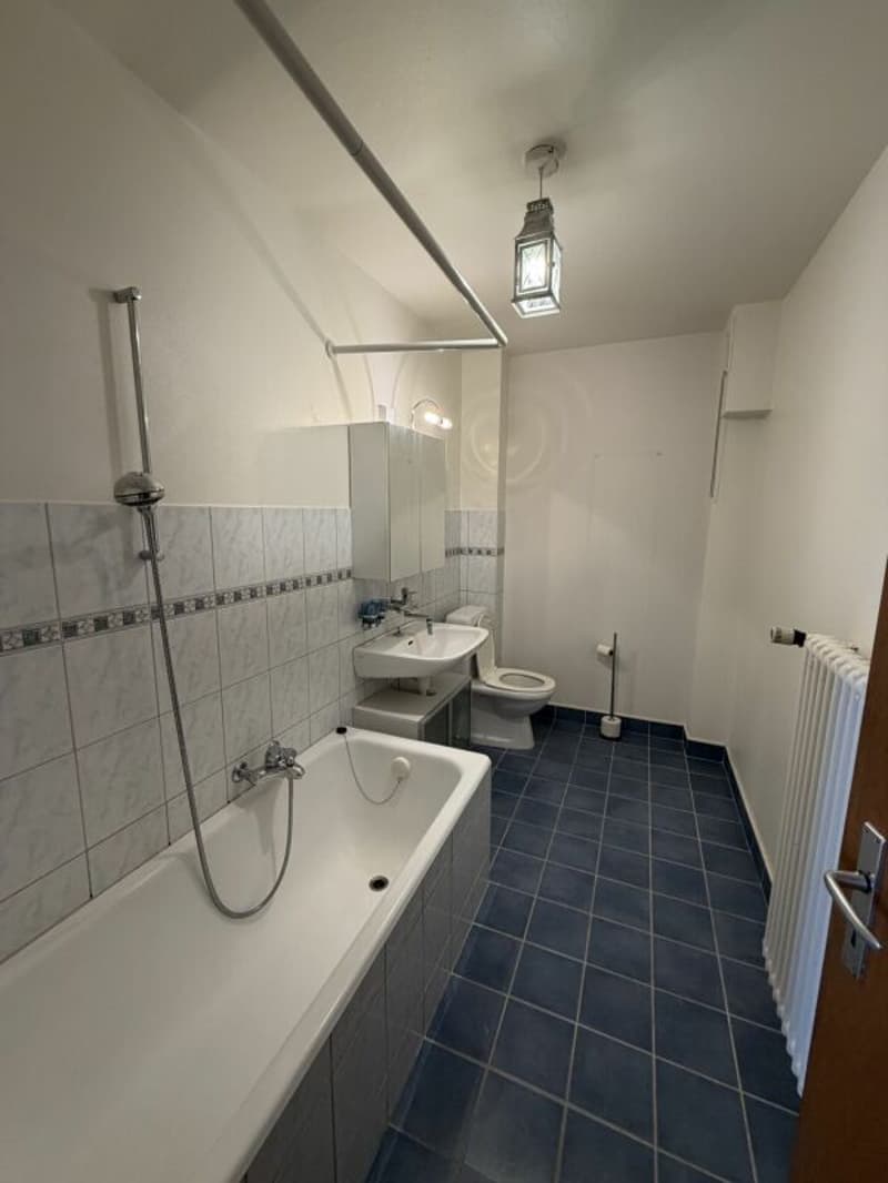 Magnifique appartement (6)