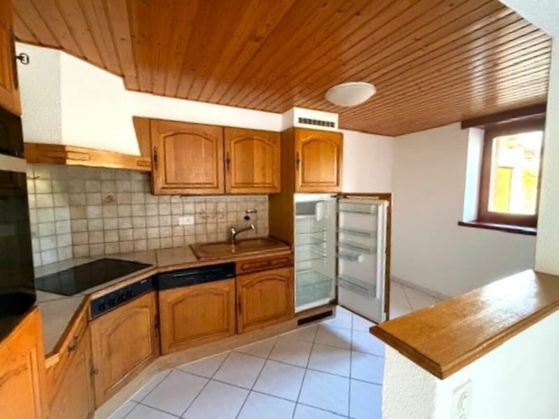 Joli appartement avec jardin (2)