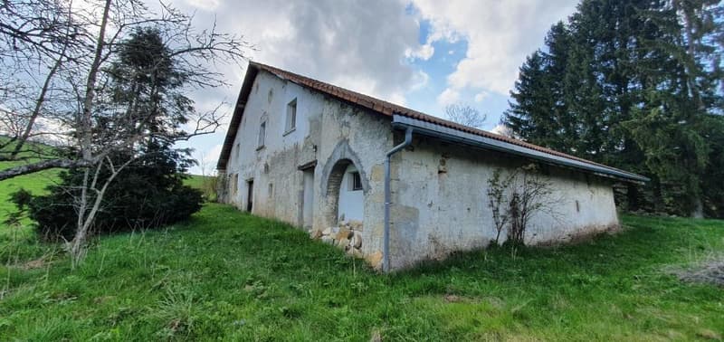 2300 La Chaux-de-Fonds