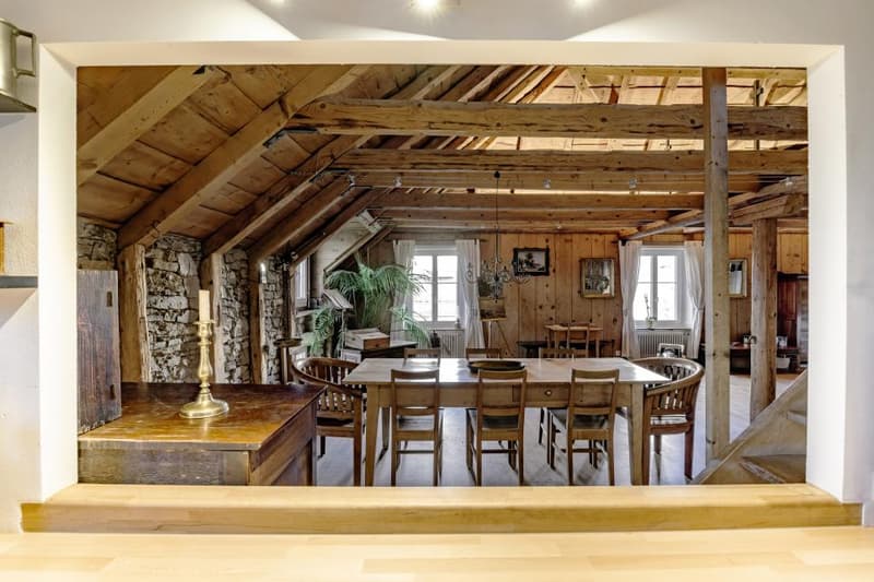 Au coeur de la ville, cachet, volume et sauna | homegate.ch