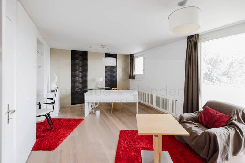 Magnifique villa contemporaine (4)