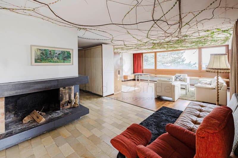Magnifique villa contemporaine (2)