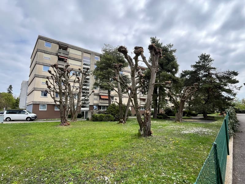 Avec une place de parc dans garage collectif (3)