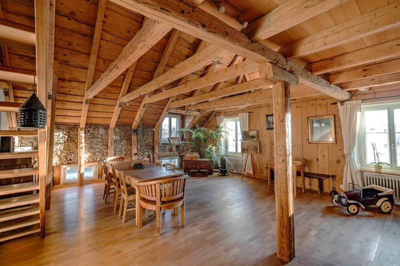 Art de Vivre & Grand Standing - Duplex d'Exception aux Allures de Loft (2)