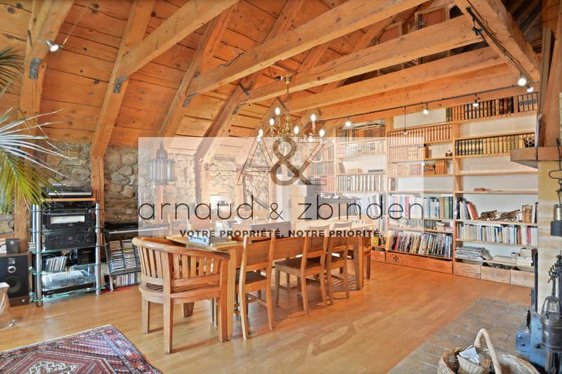 Appartement de 300 m2, en duplex, à La Chaux-de-Fonds (3)