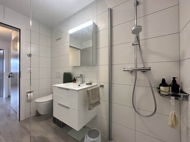 Superbe appartement de 3.5 pcs à Cheyres vue imprenable sur le lac (12)