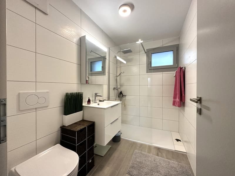 Superbe appartement de 3.5 pcs à Cheyres vue imprenable sur le lac (13)