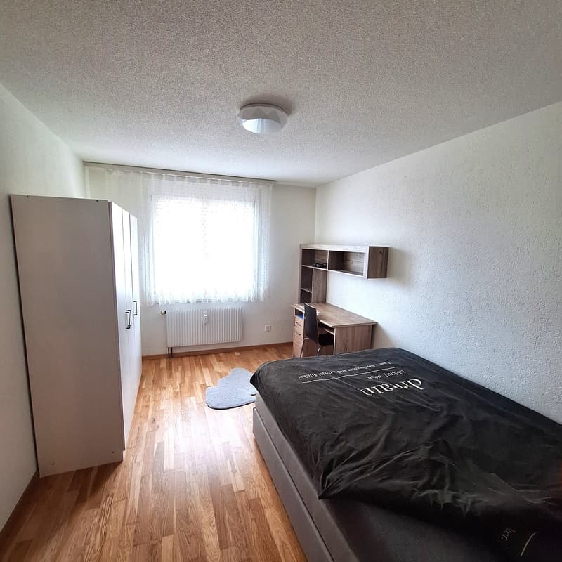20011.1002_Zimmer 2