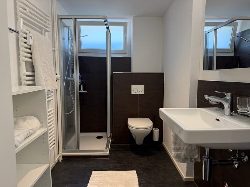Moderne Stadtwohnung (5)