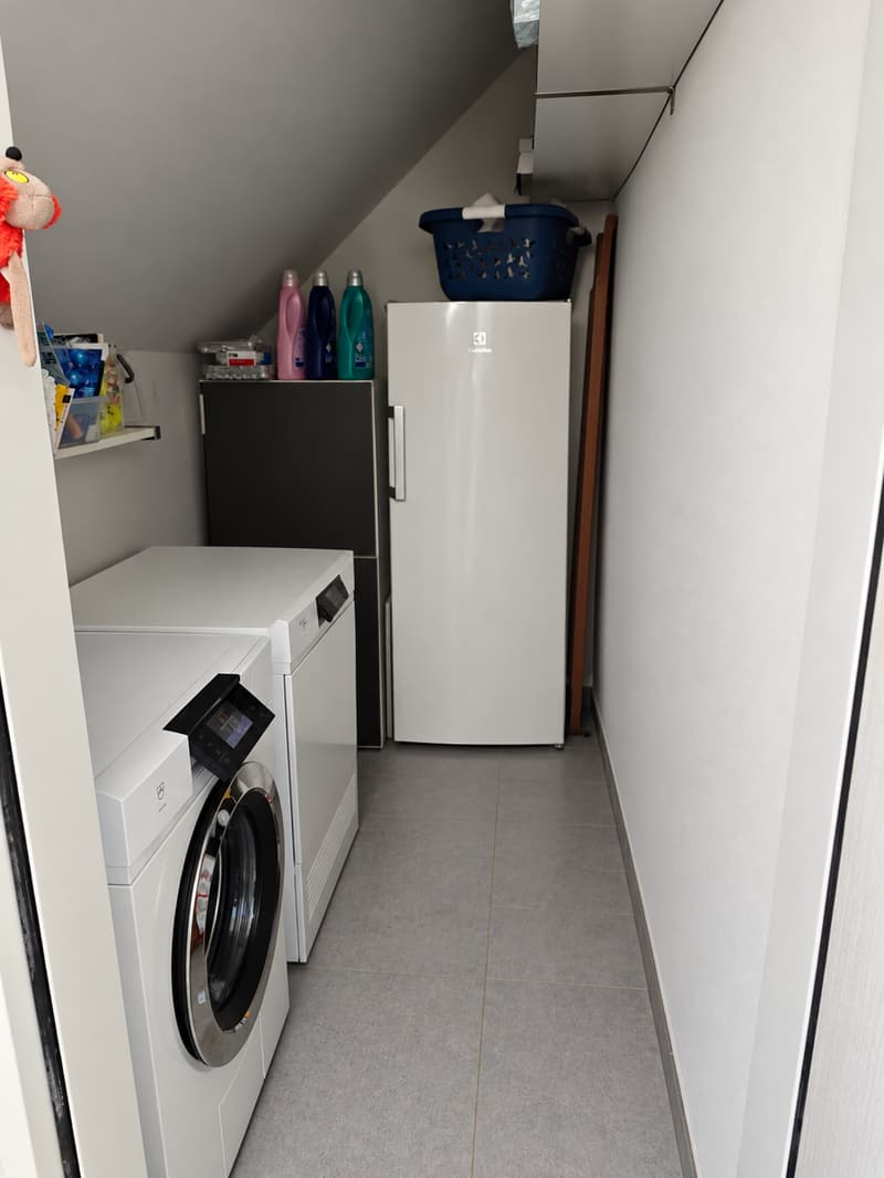 Maisonette-Wohnung im Zentrum von Immensee (4)