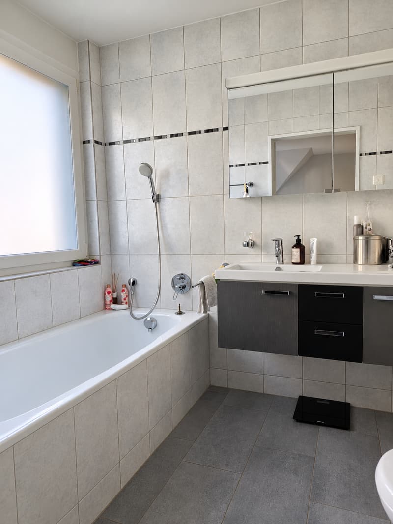 Maisonette-Wohnung im Zentrum von Immensee (6)