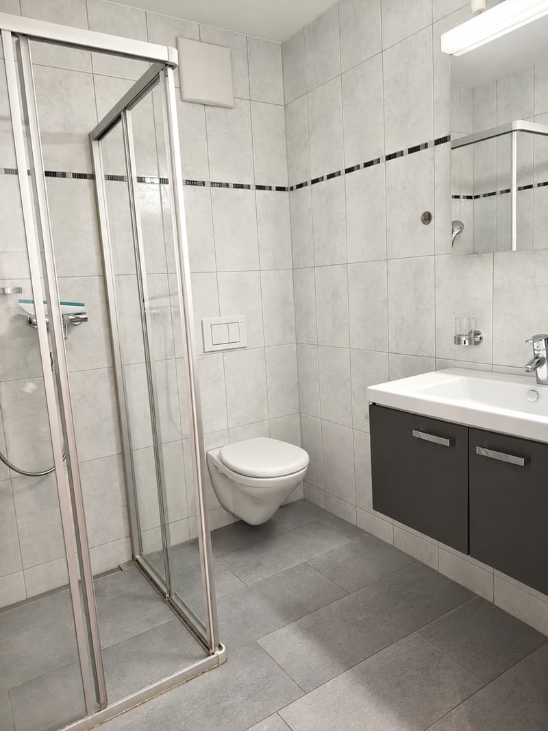 Maisonette-Wohnung im Zentrum von Immensee (8)