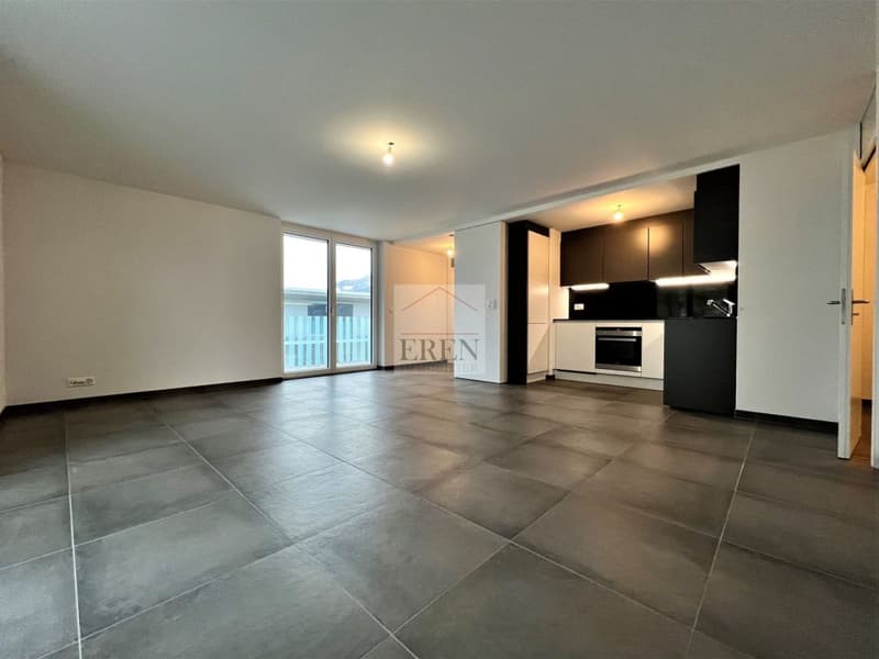 Attique 2,5p neuf à vendre à Fully