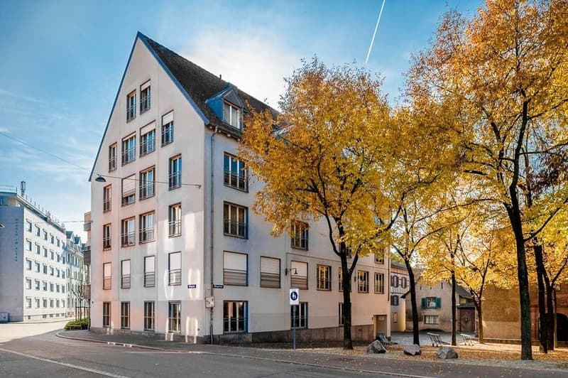 Architektonisch aussergewöhnliche Wohnung in Rheinnähe (1)