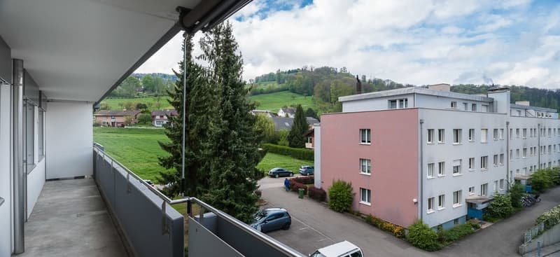 Tolle Wohnung mit interessantem Grundriss an ruhiger Lage in Pratteln (6)