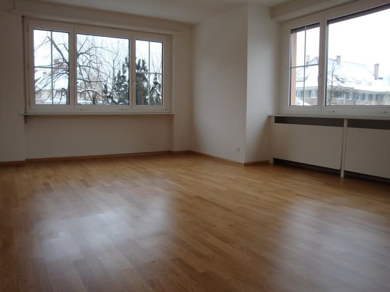 Appartamento centrale ad Aeschenplatz (4)