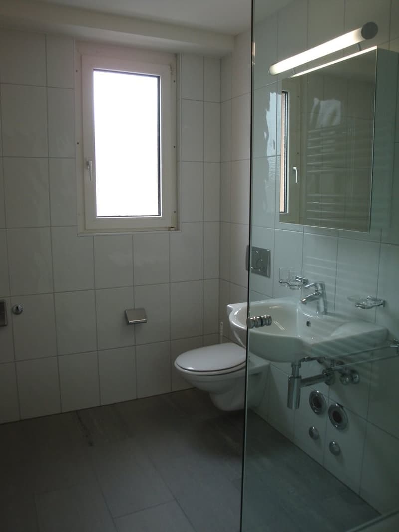 Appartamento centrale ad Aeschenplatz (3)