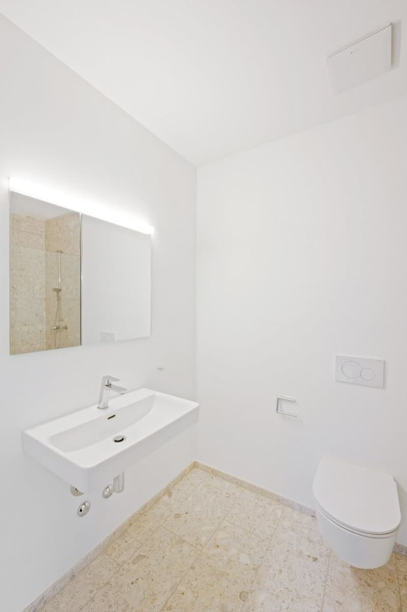 Einzigartige 2.5-Zimmer-Wohnung mit hochwertigem Ausbau (9)