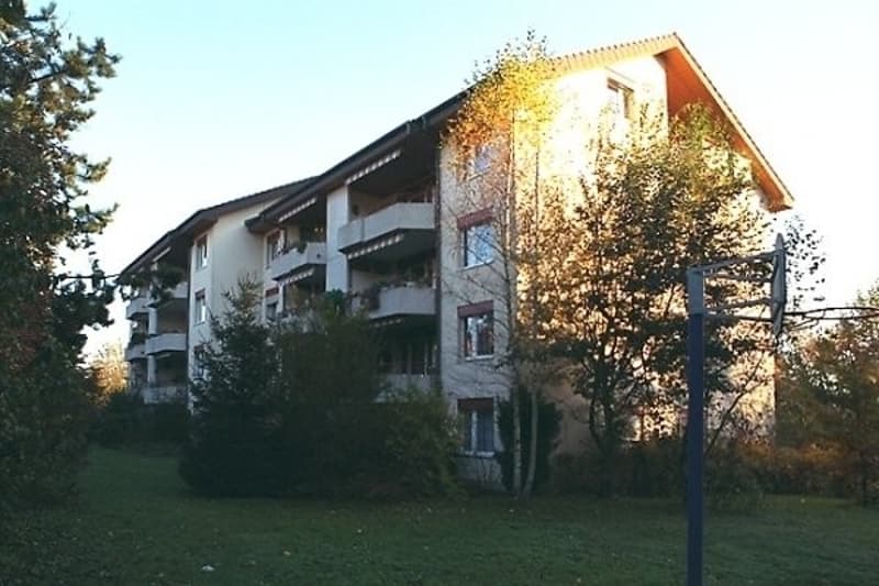 Gemütliche Wohnung in ruhigem Quartier... (2)