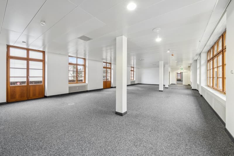 Gewerbeflächen zur Zwischennutzung im Herzen von Basel (5)