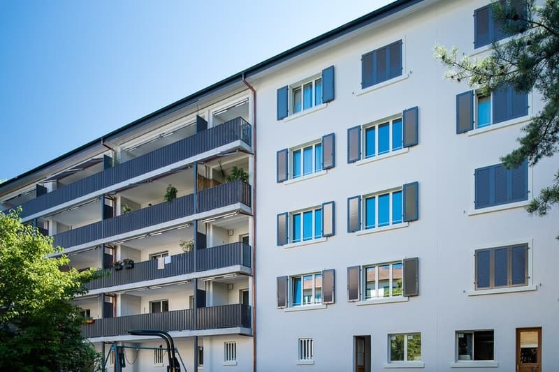 Wohnen direkt an der Birs (2)