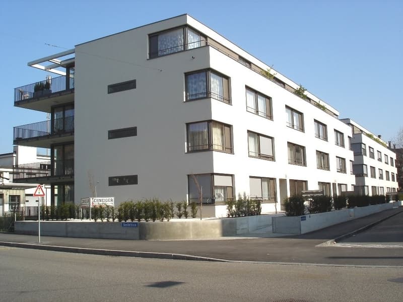 Im Hirshalm - die Stadt vor der Tür, die Natur im Fenster... (1)