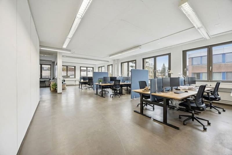 Espace commercial polyvalent de 269 m2 à Geroldswil (3)