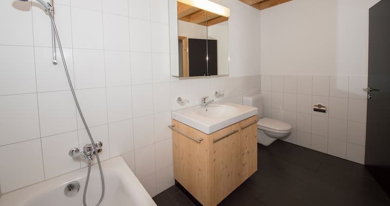 Modern apartment in the heart of Stäfa for rent from 01.06.2026 (4)
