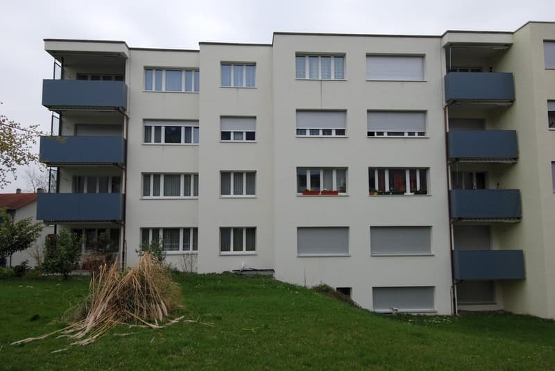 Centrally located 2.5-room apartment (1)