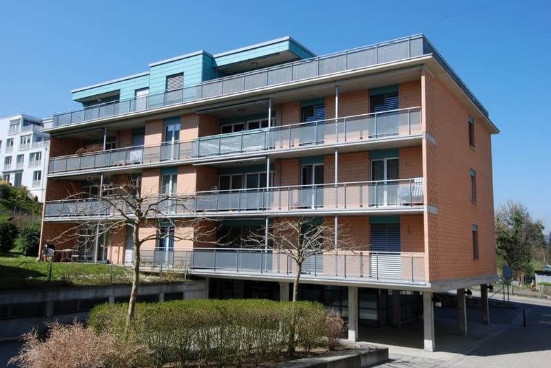Sehr grosszügige 3.5 Zimmer-Wohnung im Zentrum von Horgen! (2)