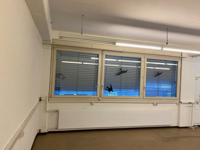 Top-Gewerberaum mitten im Zentrum von Uster zu vermieten! (3)