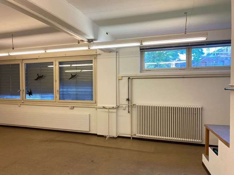 Top-Gewerberaum mitten im Zentrum von Uster zu vermieten! (9)