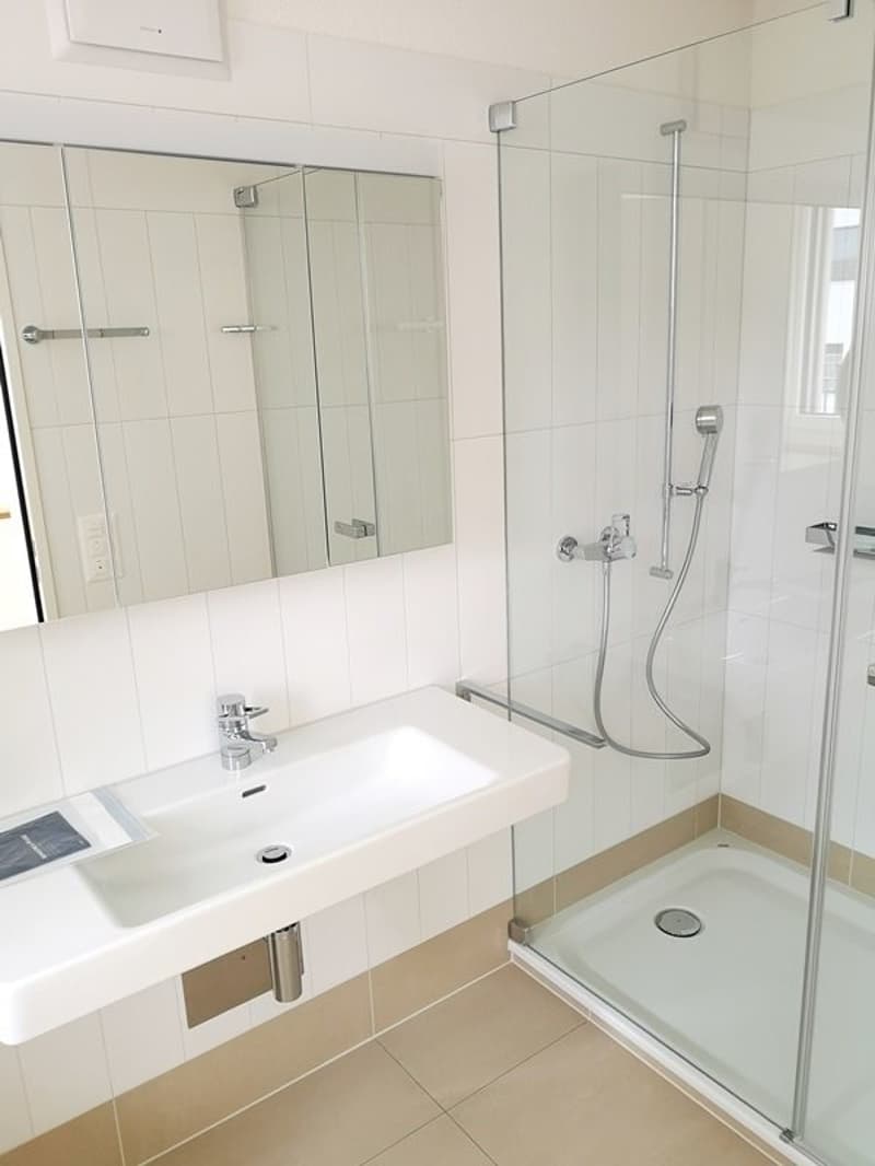 Charmante Maisonettewohnung mit Terrasse zu vermieten (7)