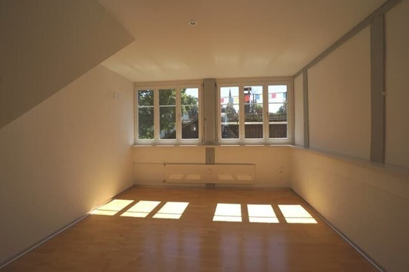 Helle, dreistöckige Traumwohnung mit Loft-Flair! (8)