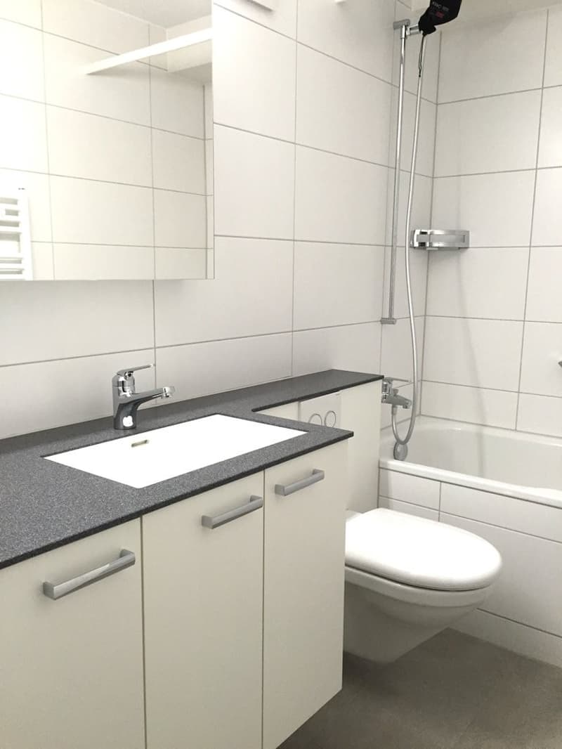 Attraktive 1.5-Zimmerwohnungen zur Miete in Zürich Altstetten (2)